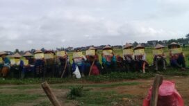 Sejumlah kelompok petani tebu di Kabupaten Bantul, provinsi DIY